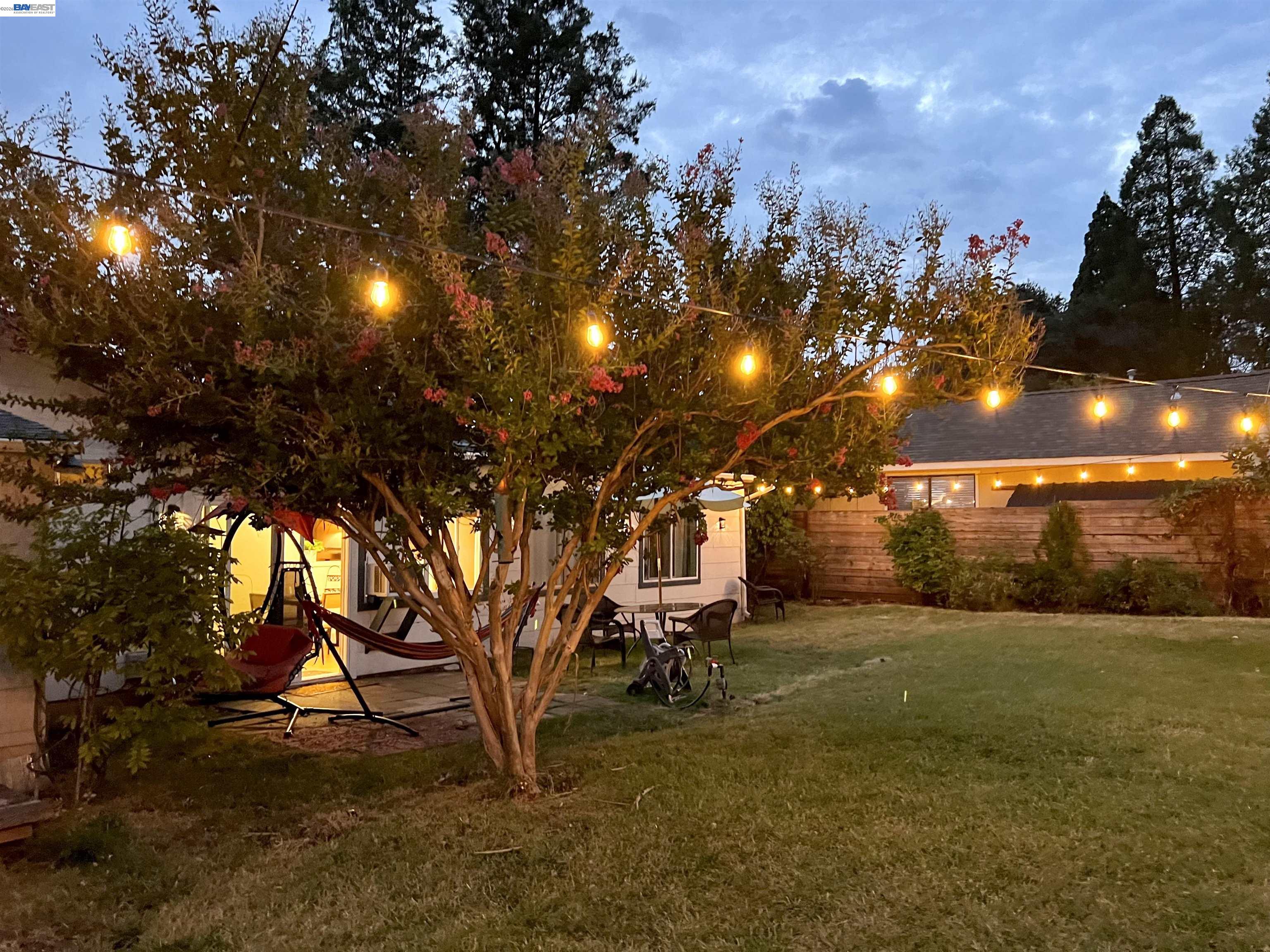 536 Williams Street Murphys, CA 95247 - Photo 19 of 24 a view of a yard
