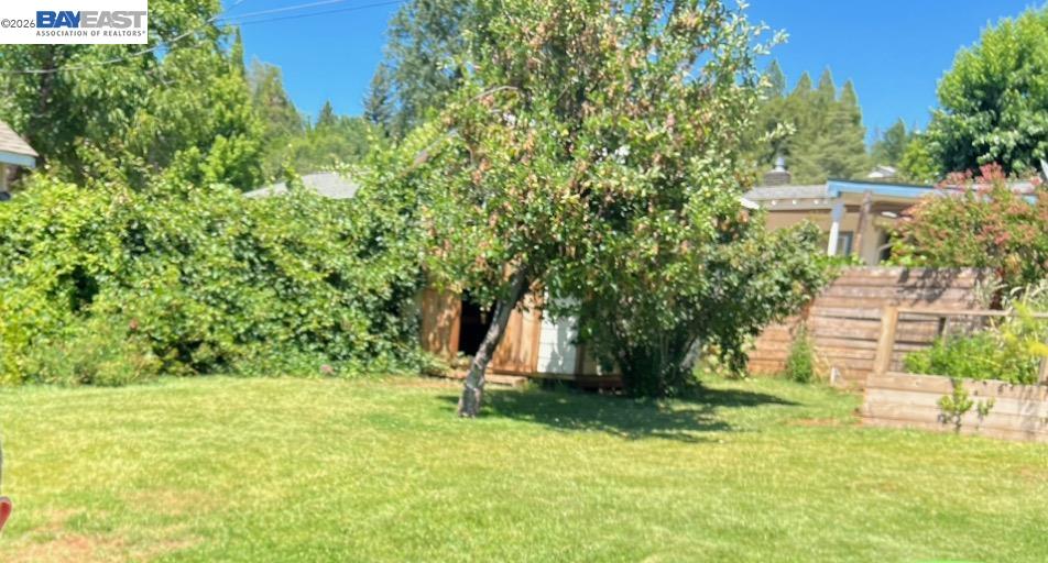 536 Williams Street Murphys, CA 95247 - Photo 22 of 24 a view of a backyard