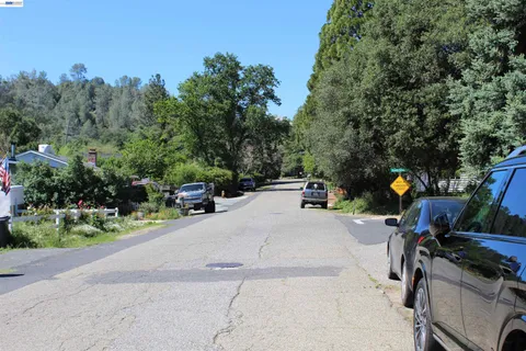 a street view with large trees