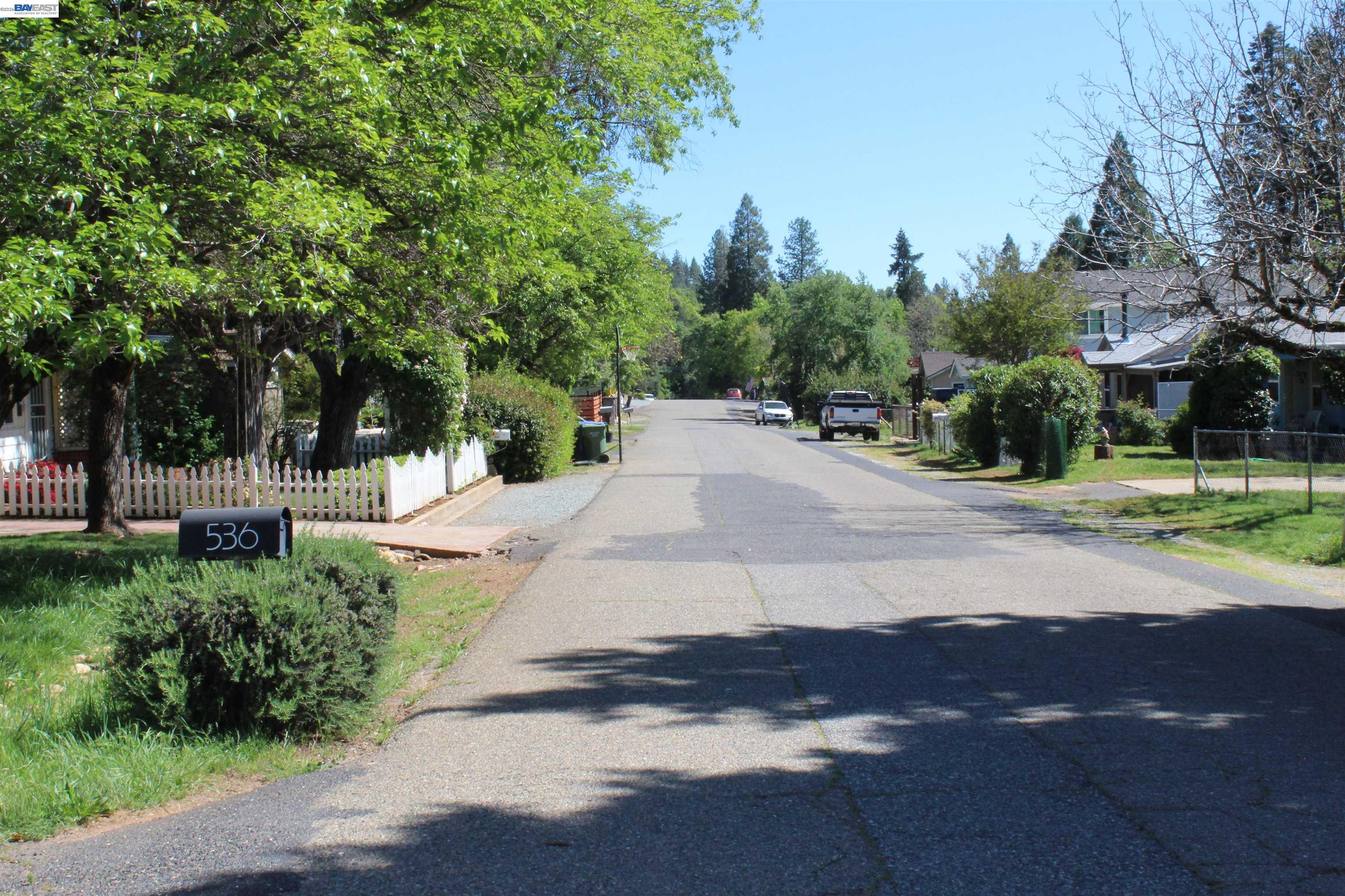 536 Williams Street Murphys, CA 95247 - Photo 24 of 24 a street view with large trees