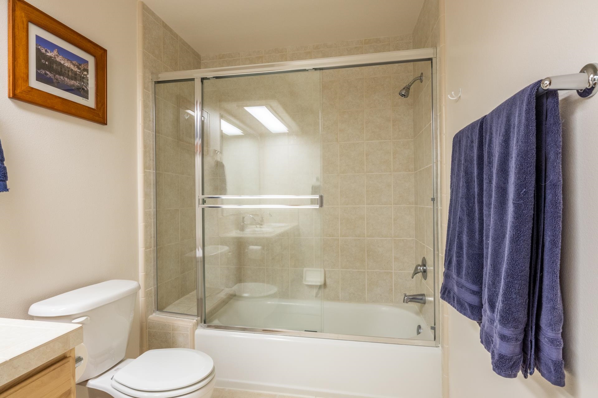 372 Wagon Wheel Road Mammoth Lakes, CA 93546 - Photo 30 of 50 a bathroom with a shower and a toilet