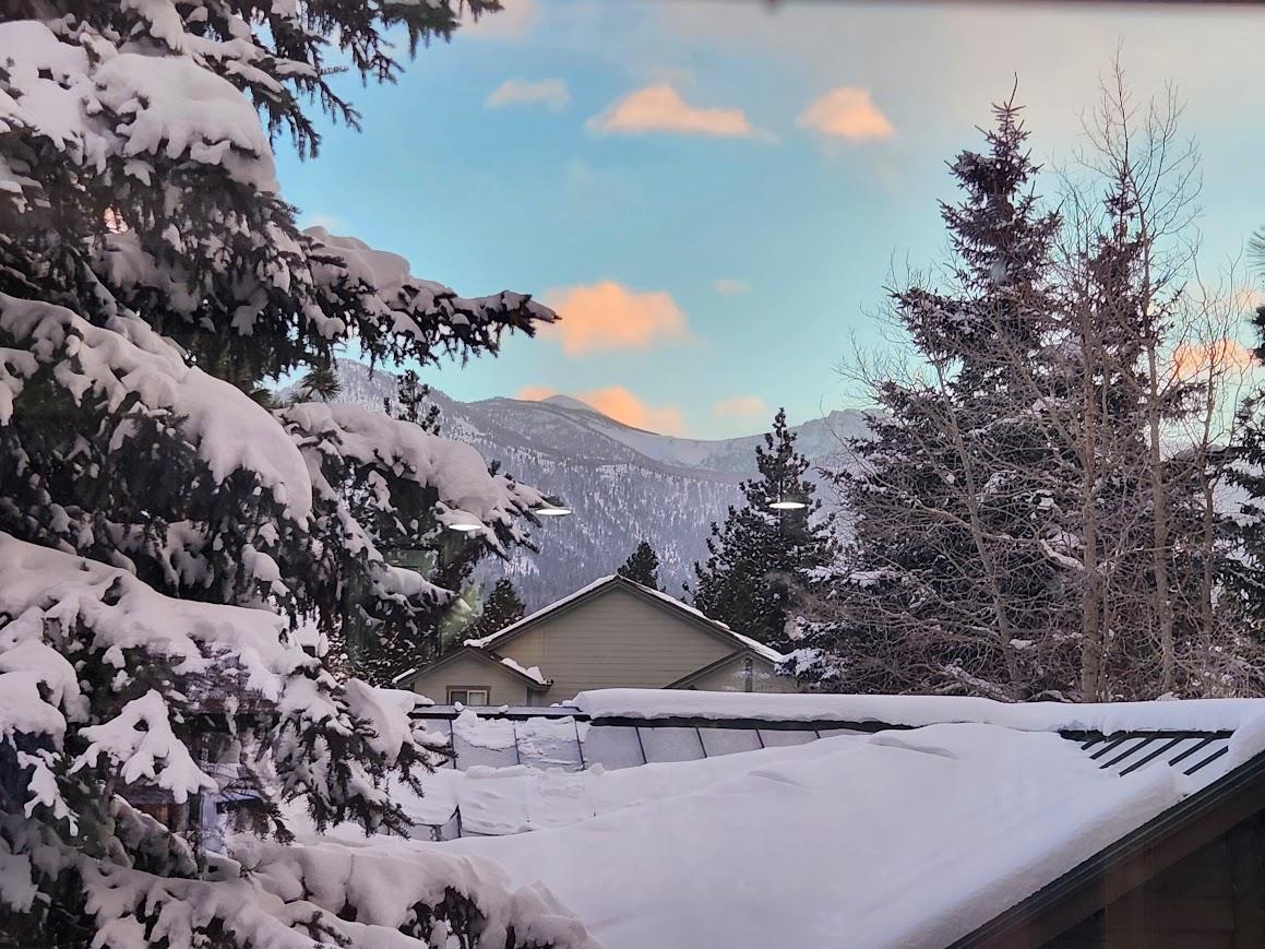 372 Wagon Wheel Road Mammoth Lakes, CA 93546 - Photo 3 of 50 a view of a house with a yard