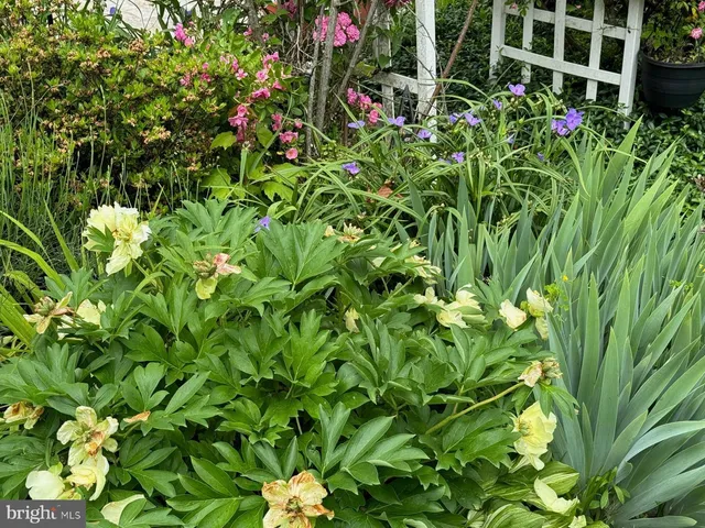 $485,000 | 13205 Iris Court, Bowie, MD 20715