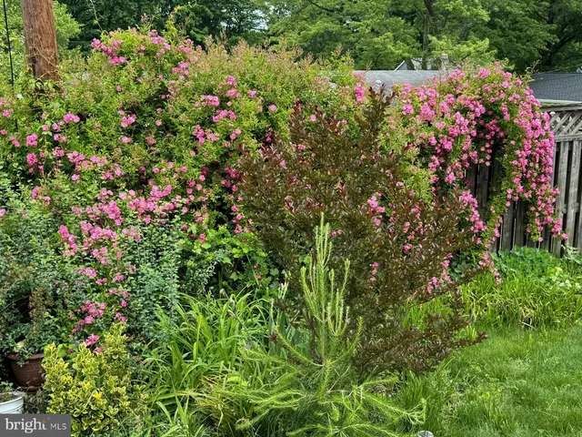 $485,000 | 13205 Iris Court, Bowie, MD 20715