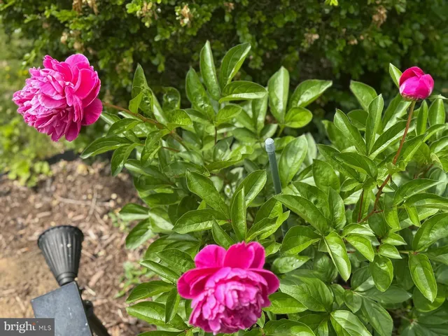 $485,000 | 13205 Iris Court, Bowie, MD 20715