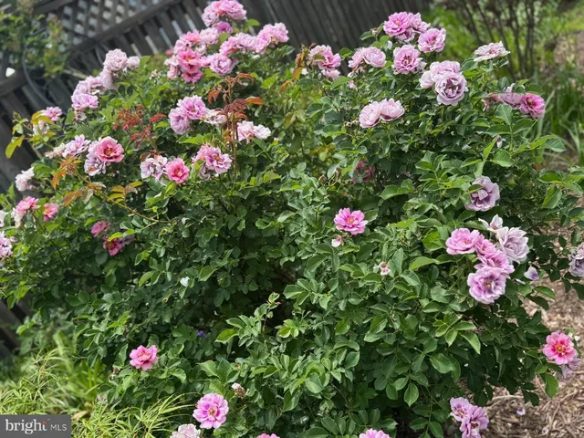 $485,000 | 13205 Iris Court, Bowie, MD 20715