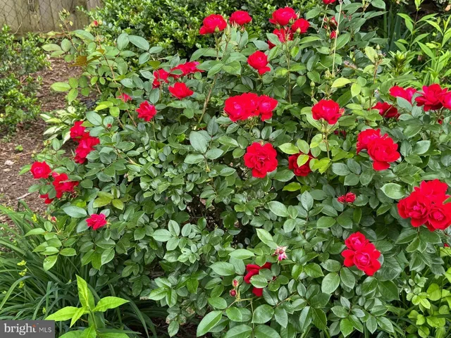 $485,000 | 13205 Iris Court, Bowie, MD 20715