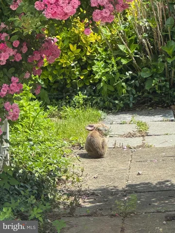 $485,000 | 13205 Iris Court, Bowie, MD 20715