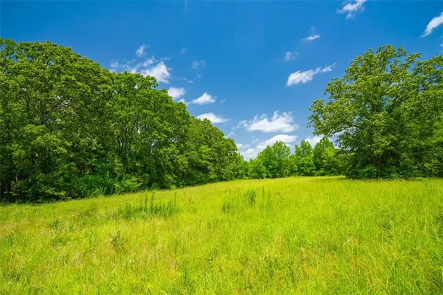 a view of yard with swimming pool and green space