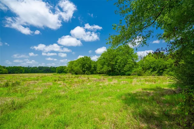 a view of a big yard with lots of green space