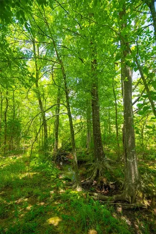 a view of outdoor space and green space