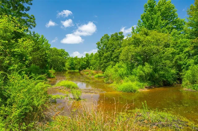 a view of a lake with a tree in a yard