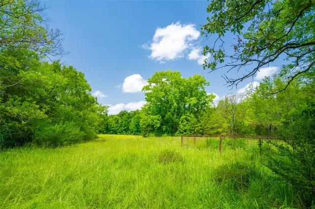 a view of yard with swimming pool and green space