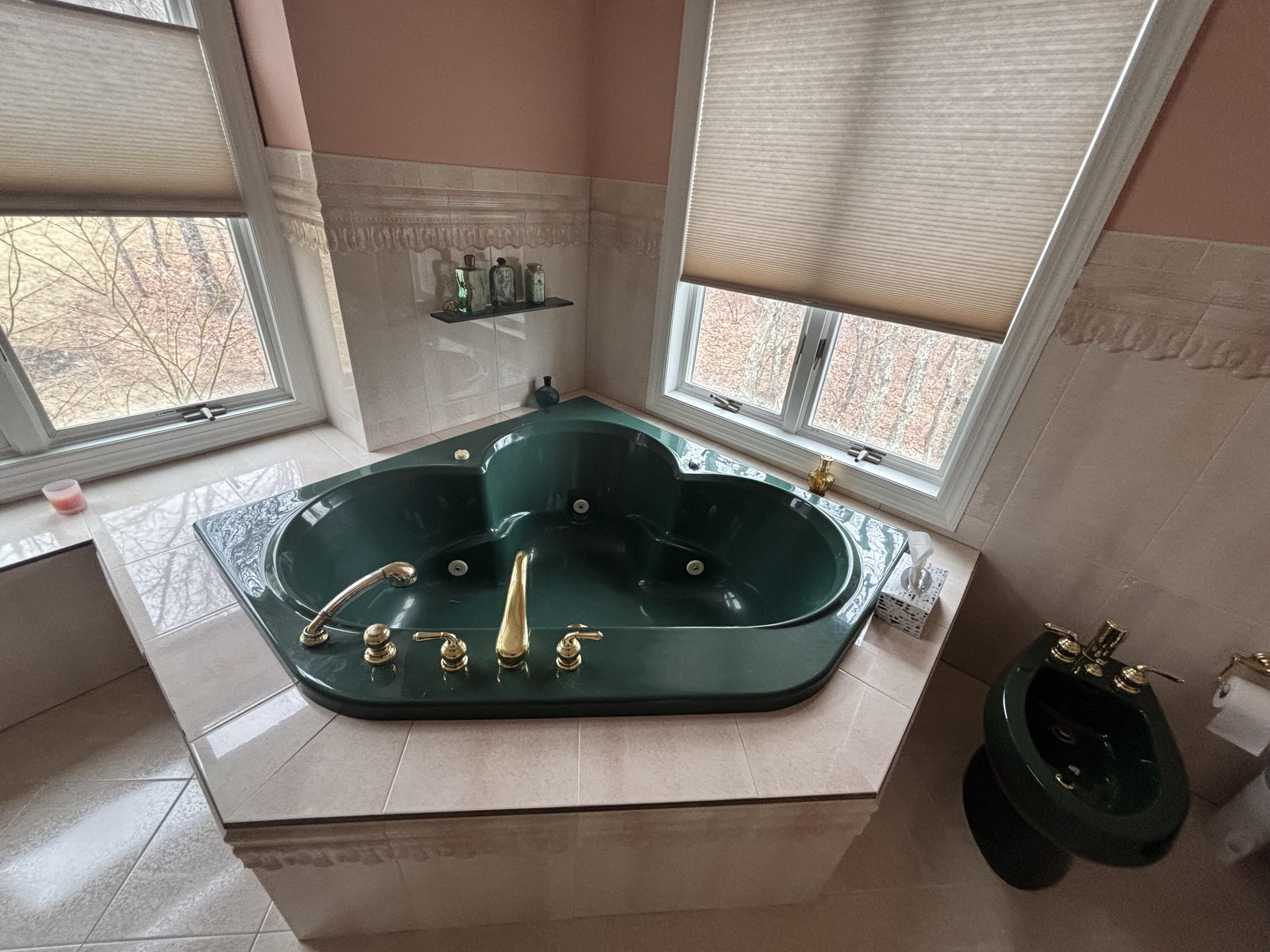 38 East Point Road Kunkletown, PA 18058 - Photo 29 of 51 jacuzzi in master bath