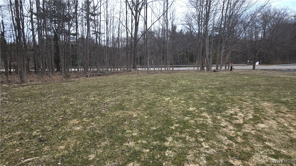 6194 Chestnut Ridge Road Orchard Park, NY 14127 - Photo 2 of 4 View from back of cut yard to the road