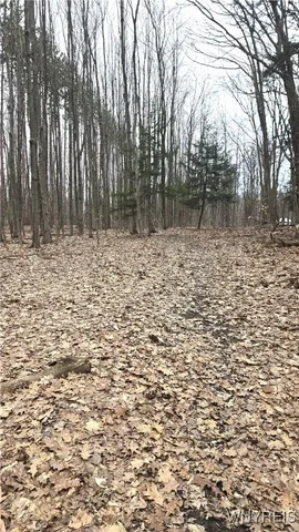 $189,900 | 6194 Chestnut Ridge Road, Orchard Park, NY 14127