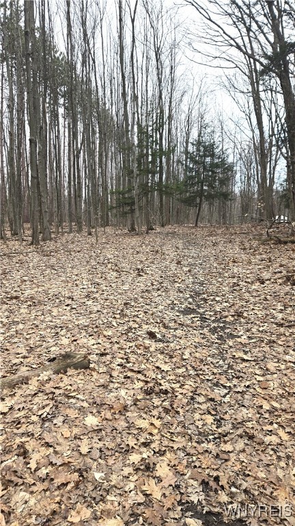 6194 Chestnut Ridge Road Orchard Park, NY 14127 - Photo 3 of 4 Path in the woods