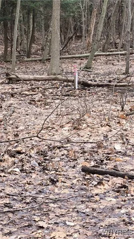 $189,900 | 6194 Chestnut Ridge Road, Orchard Park, NY 14127