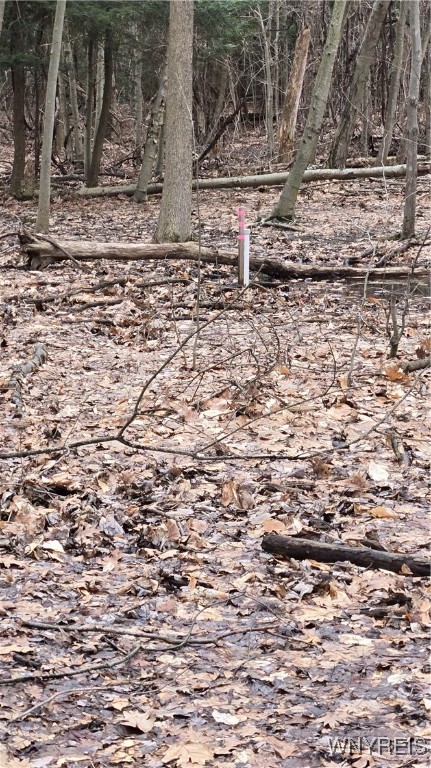 6194 Chestnut Ridge Road Orchard Park, NY 14127 - Photo 4 of 4 Path to the back corner marker