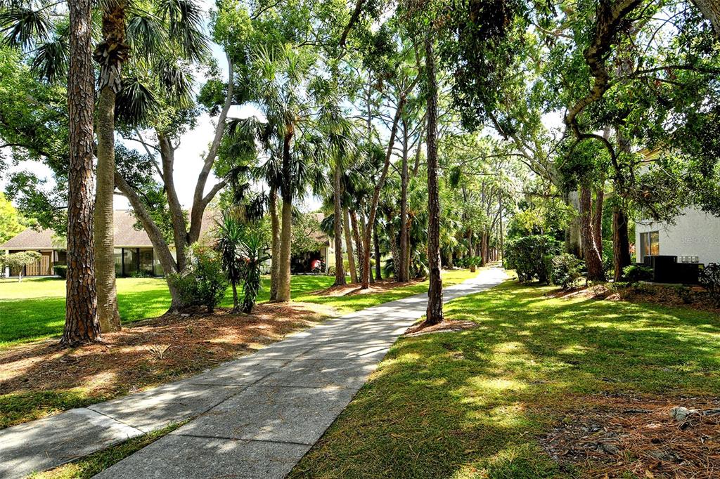 5246 Marsh Field Lane, Unit 1 Sarasota, FL 34235 - Photo 44 of 49 a view of a tree in front of a house