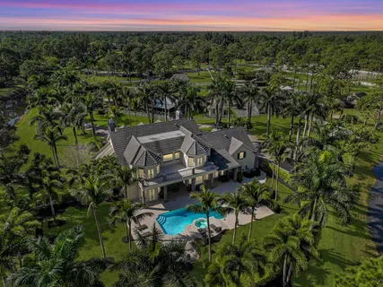 a aerial view of a house with a yard and potted plants