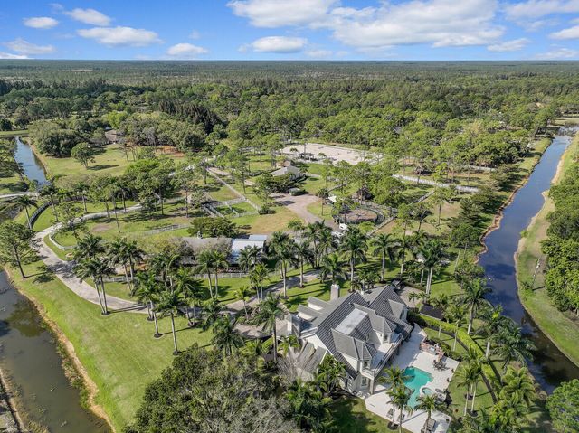 a view of a swimming pool with a lawn chairs and palm trees