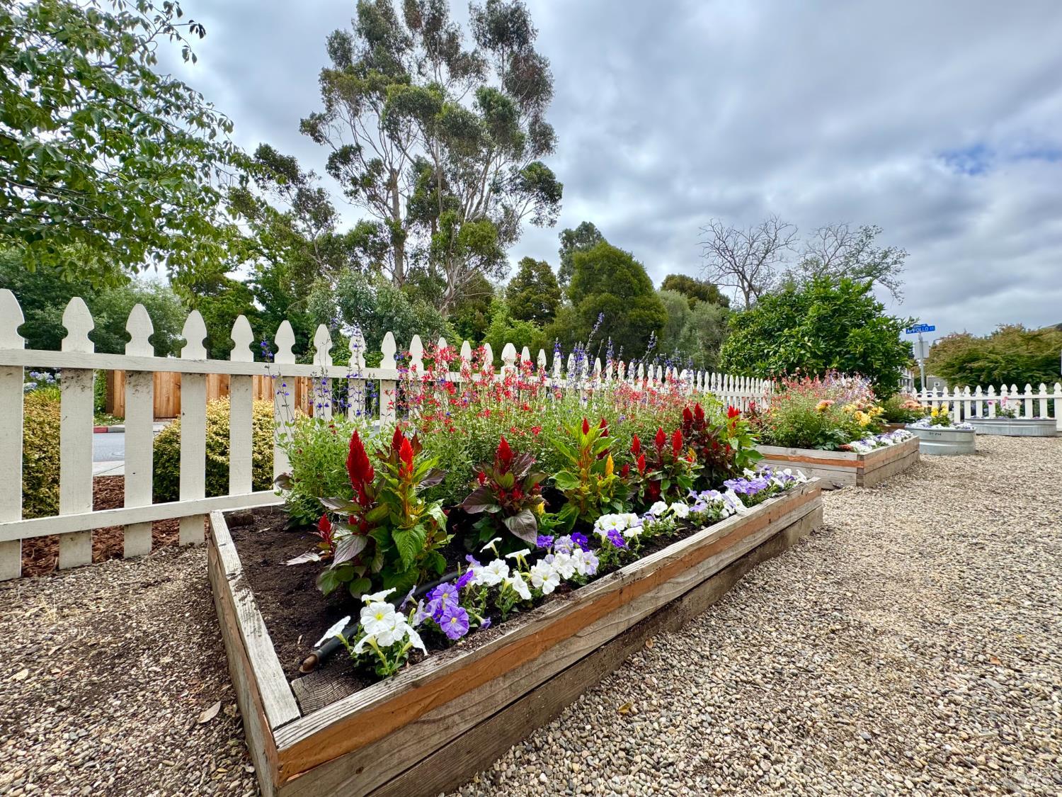 2010 Appollo Court Napa, CA 94559 - Photo 38 of 44