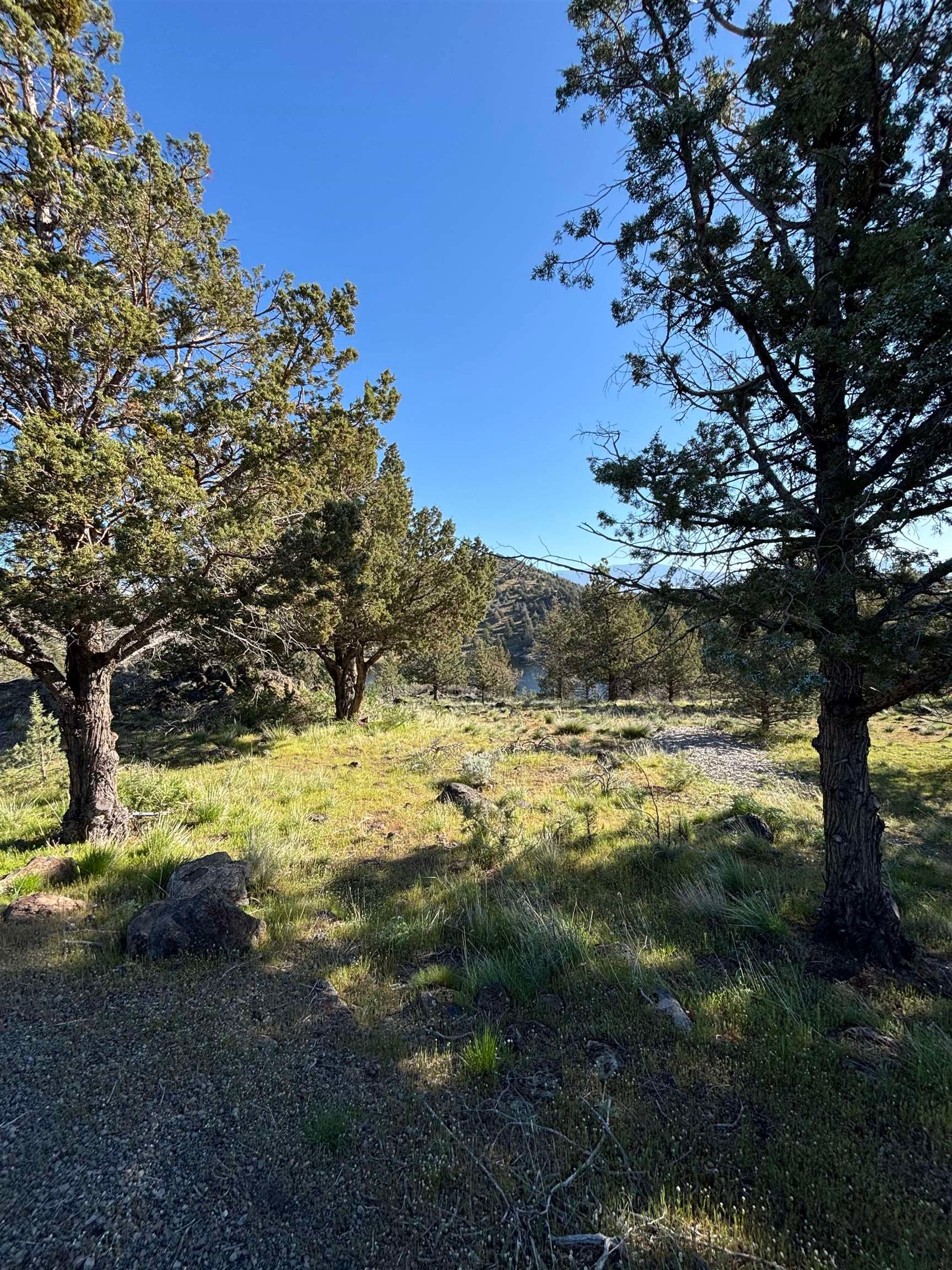 9-2 Unit Road Weed, CA 96094 - Photo 3 of 19 Gallery Image 3