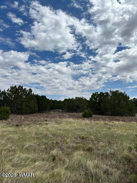 N3109 Rd Vernon Az 85940 Road Vernon, AZ 85940 - Photo 1 of 17
