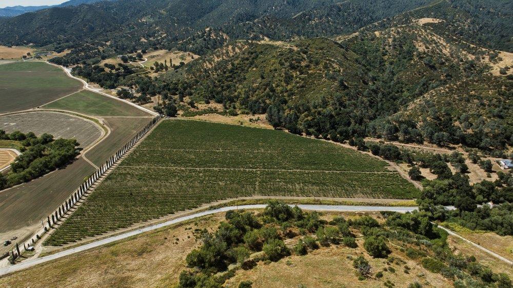 24.5-acres Cienega Road Paicines, CA 95043 - Photo 8 of 38
