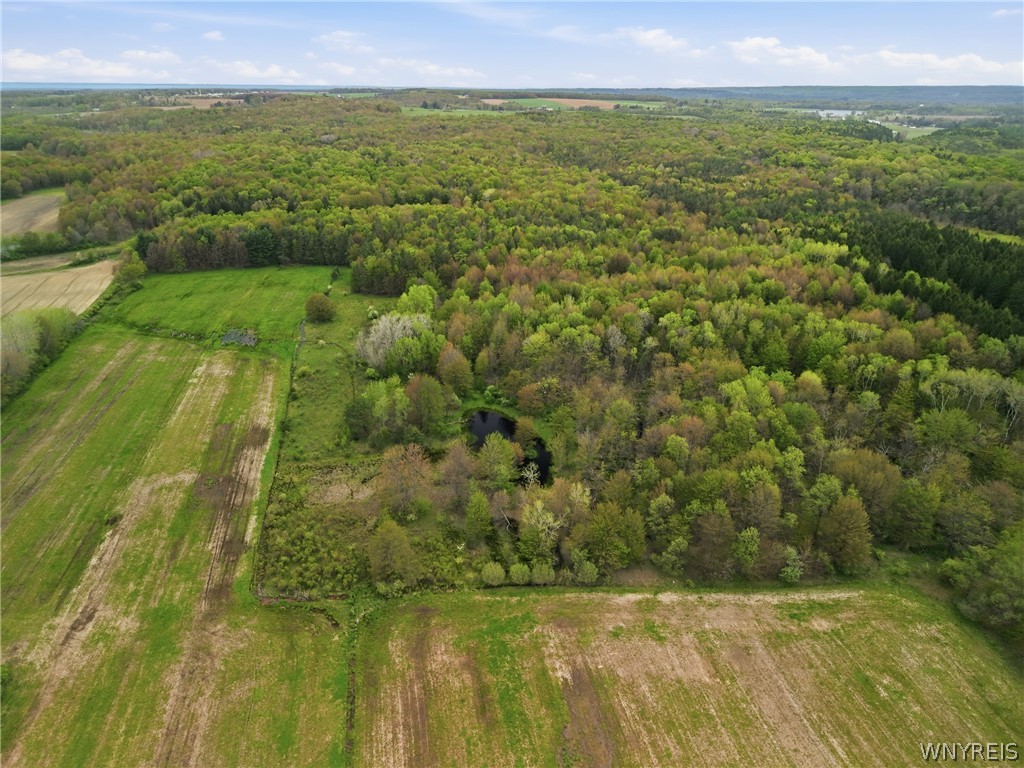 0 Genesee Road Lawtons, NY 14091 - Photo 16 of 34