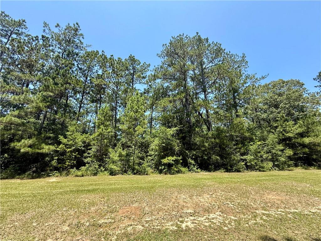 0 Lake Choctaw Road Franklinton, LA 70438 - Photo 3 of 4