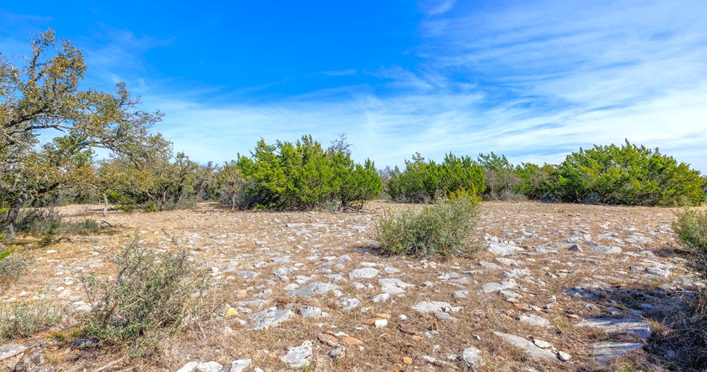6987 Doss-Spring Creek Road Doss, TX 78618 - Photo 11 of 16