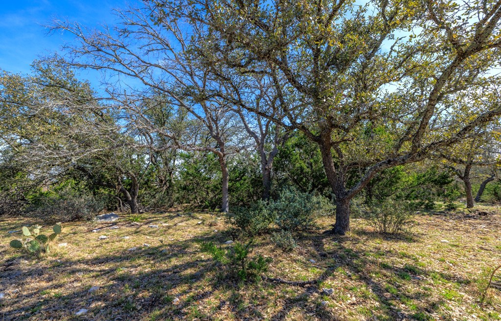 6987 Doss-Spring Creek Road Doss, TX 78618 - Photo 12 of 16
