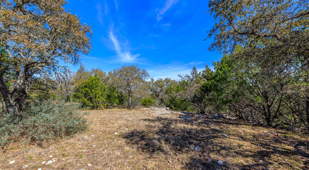 6987 Doss-Spring Creek Road Doss, TX 78618 - Photo 13 of 16