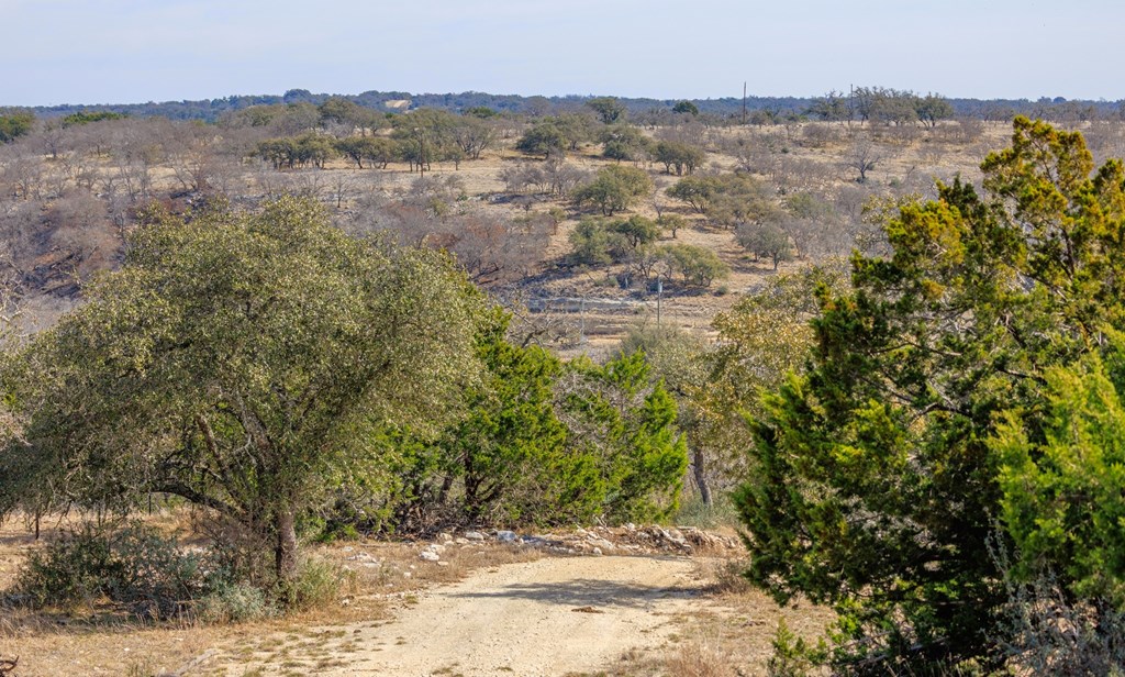 6987 Doss-Spring Creek Road Doss, TX 78618 - Photo 5 of 16