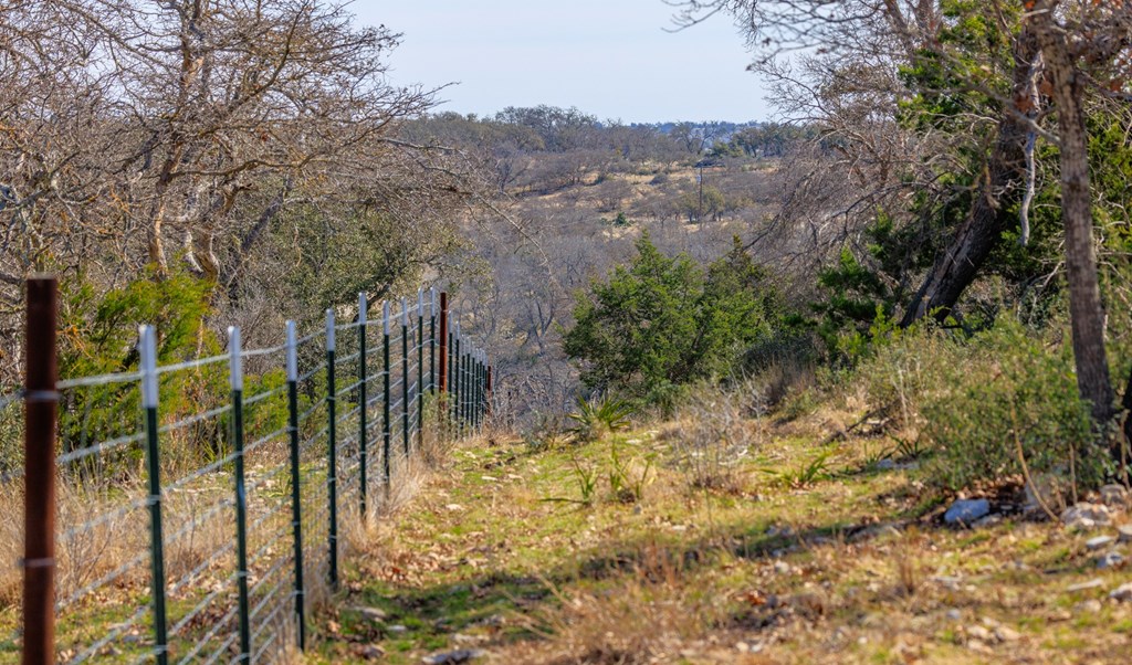 6987 Doss-Spring Creek Road Doss, TX 78618 - Photo 6 of 16