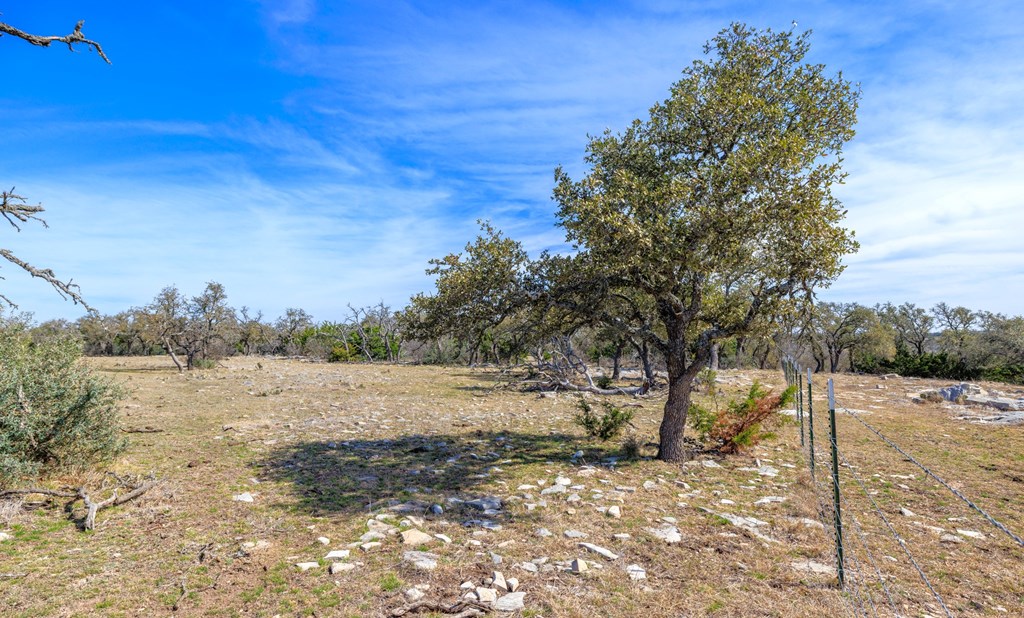 6987 Doss-Spring Creek Road Doss, TX 78618 - Photo 8 of 16