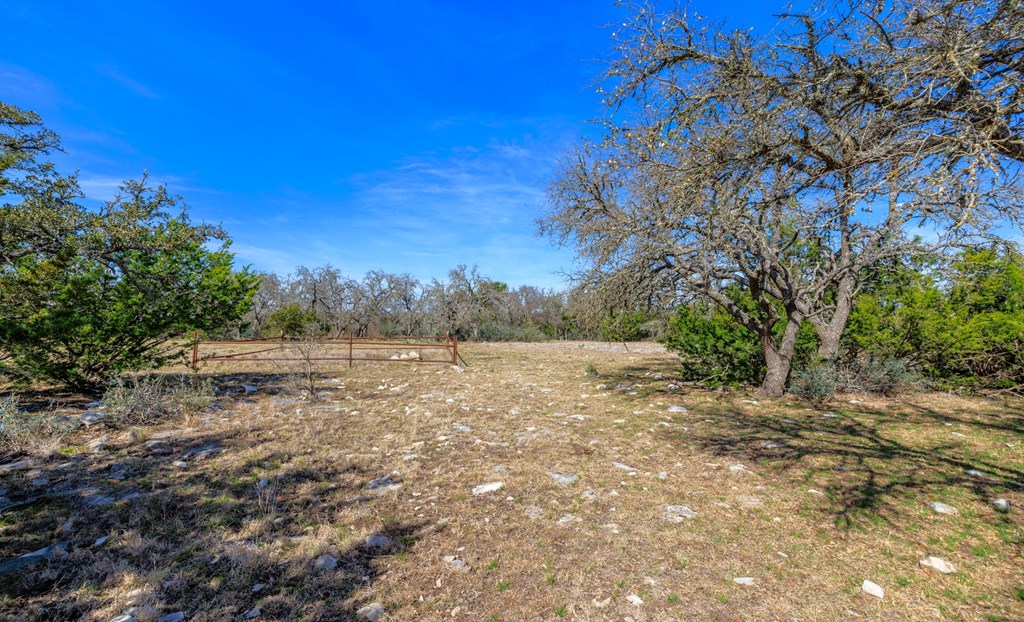 6987 Doss-Spring Creek Road Doss, TX 78618 - Photo 9 of 16