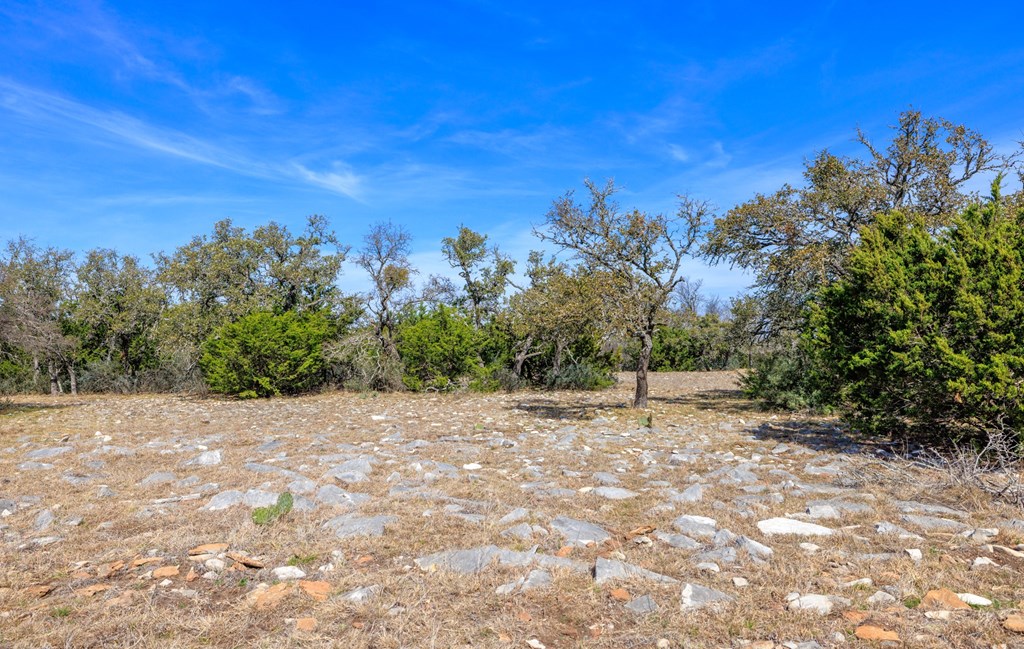 6987 Doss-Spring Creek Road Doss, TX 78618 - Photo 10 of 16