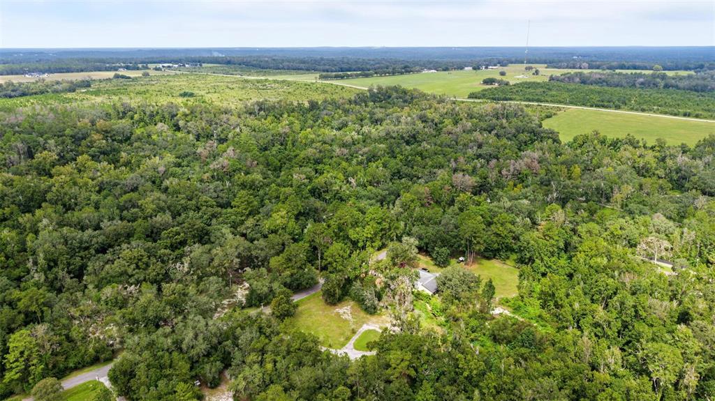 4250 Bessemer Road Brooksville, FL 34602 - Photo 23 of 27 Gallery Image 23