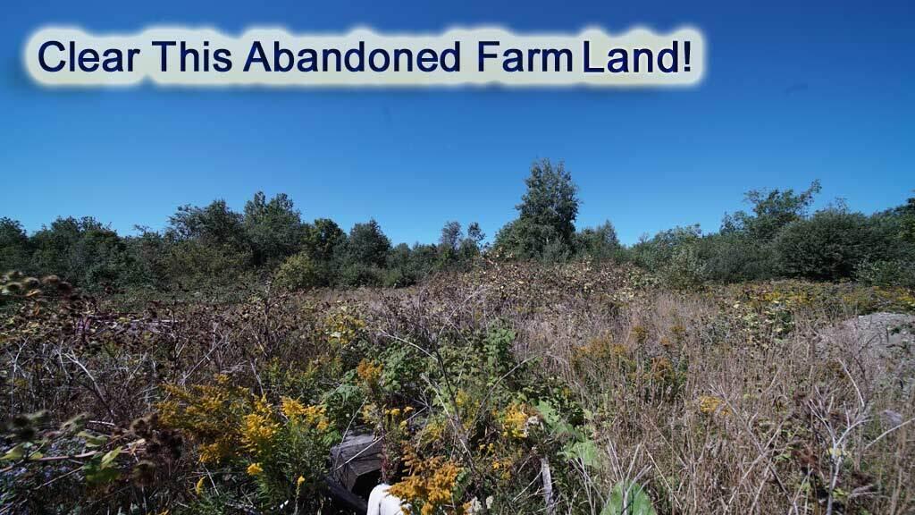 562 Rt 212 Road Merrill, ME 04780 - Photo 6 of 30 565-rt-212-farm-land-1