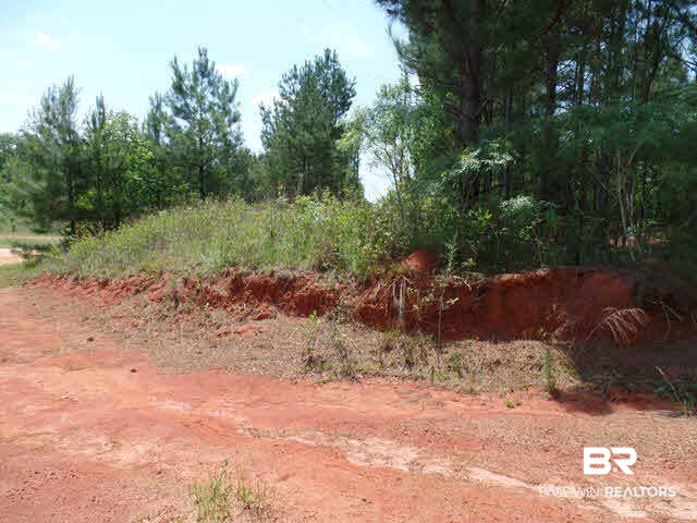 500 County Road 462 Kinston, AL 36453 - Photo 12 of 25