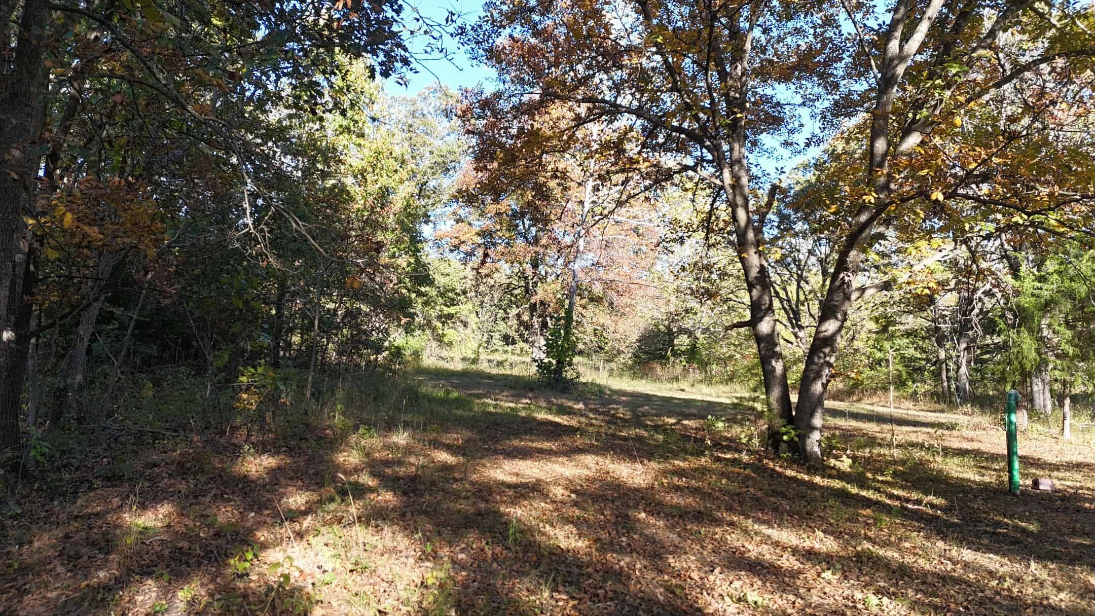 19180 East 920th Road Humansville, MO 65674 - Photo 33 of 61 da2969cf-6143-4752-931c-dcad555a33bf