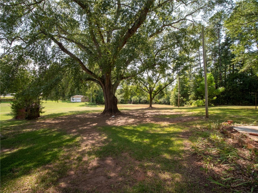 5581 Highway 252 Donalds, SC 29638 - Photo 20 of 23 Gallery Image 20