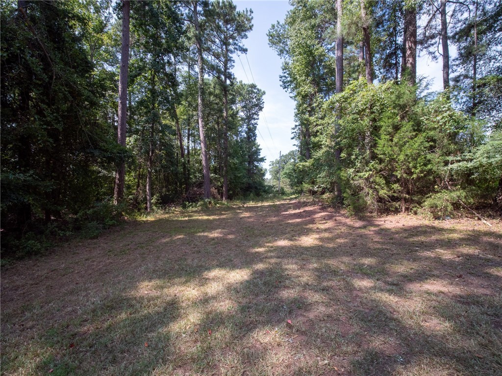 5581 Highway 252 Donalds, SC 29638 - Photo 21 of 23 Gallery Image 21