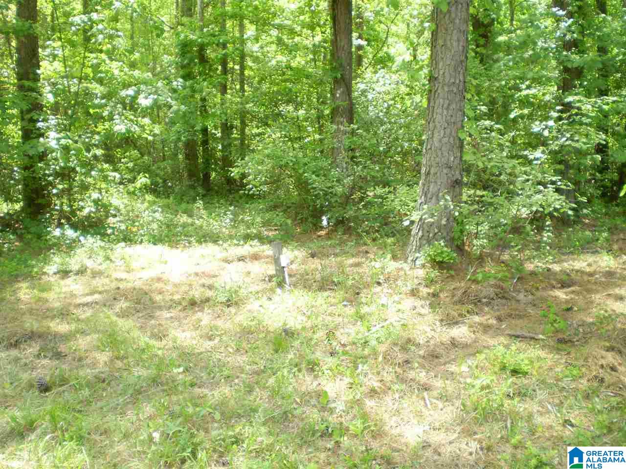 298 Waldrop Road, Unit TR 12 Ashville, AL 35953 - Photo 14 of 29