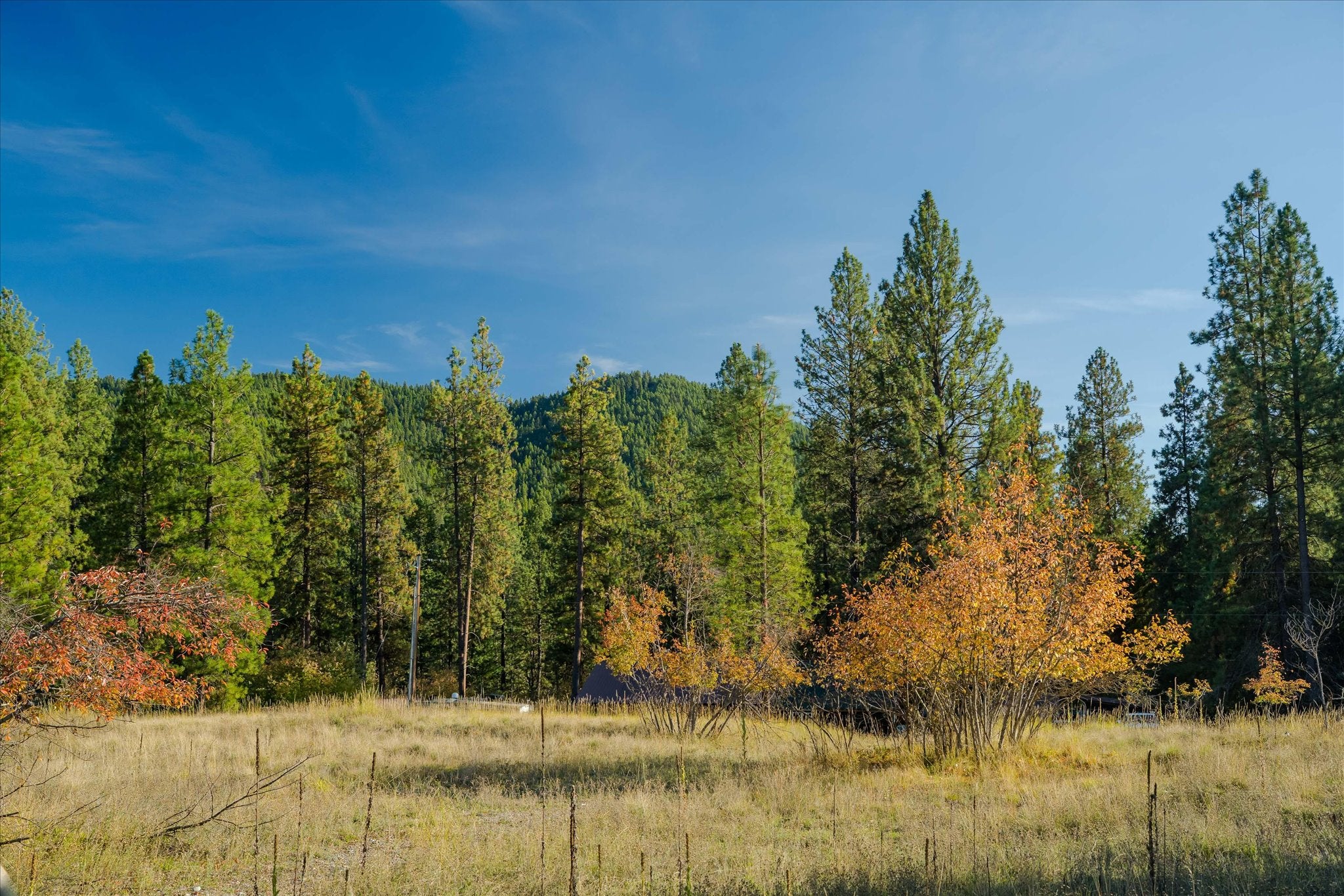 Kna Mack Road Libby, MT 59923 - Photo 35 of 39 Gallery Image 35
