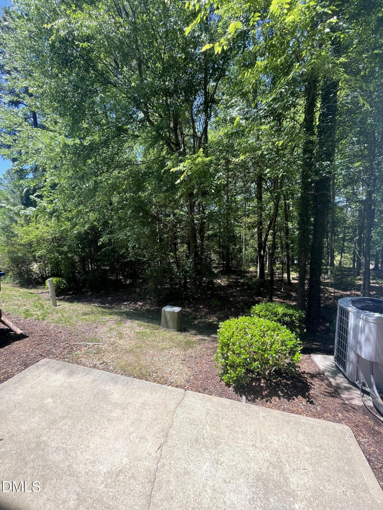 3525 Londonville Lane Raleigh, NC 27604 - Photo 28 of 29 IMG_6799 woods