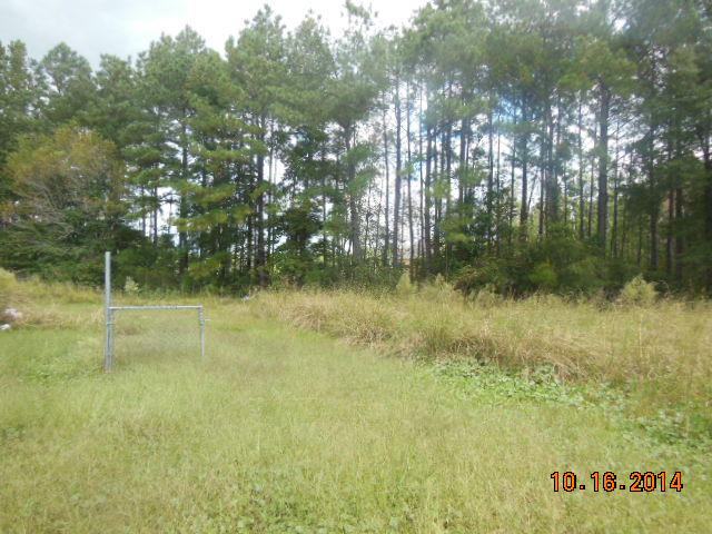 124 Shellmore Trail Summerville, SC 29486 - Photo 4 of 4 DSCN5145